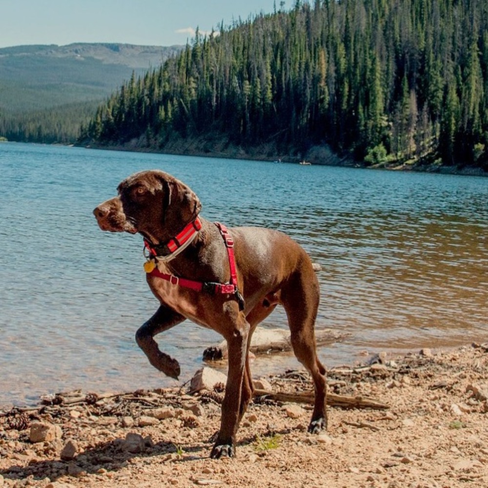 Meet your Posher, Breann